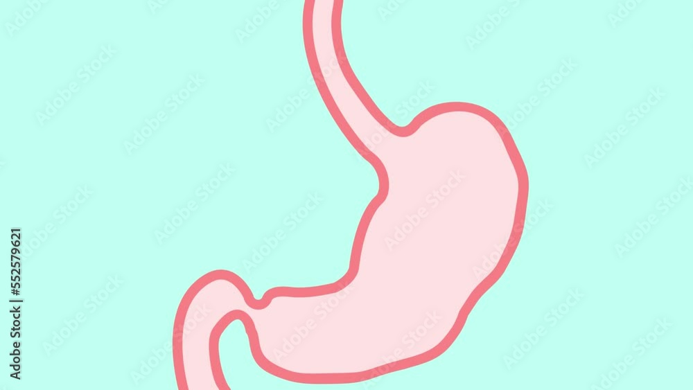 Cute cartoon stomach character with face. Represents hunger, empty stomach. Cute cartoon stomach character with face. Represents hunger, empty stomach.