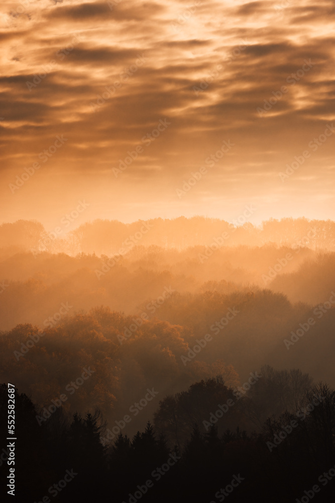 Aerial view of a foggy forest in the warm tones of sunset in Germany, dramatic sky
