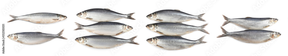 Set with tasty salted herrings on white background, top view. Banner design Set with tasty salted herrings on white background, top view. Banner design