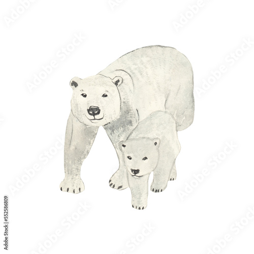 Polar bear. Watercolor illustration isolated on white background. Sketch animal. Cute wild bear. Picture. Image