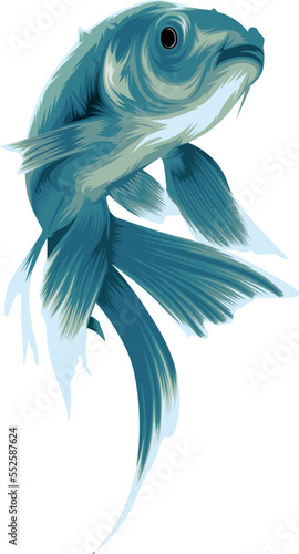 Pisces zodiac sign. zodiac water sign