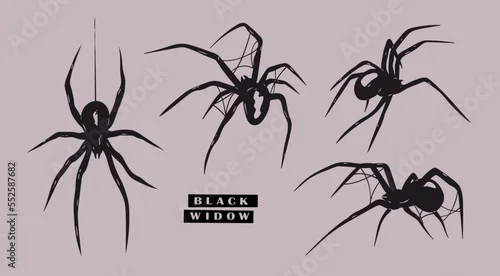 Obraz Black Widow spider set. Various positions. Every spider is isolated. Deadly venomous spider. Hand drawn Vector illustration. Logo, icon, tattoo idea, halloween decoration, design elements template