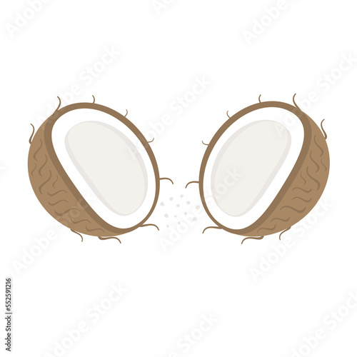 Isolated image of coconut halves with splashes on a white background. Vector