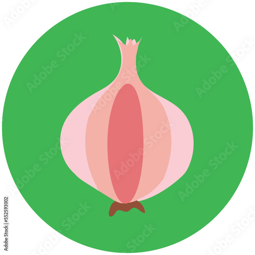 Onion 