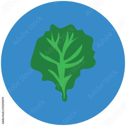 Spinach 