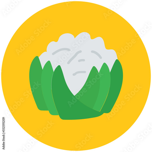 Cauliflower 
