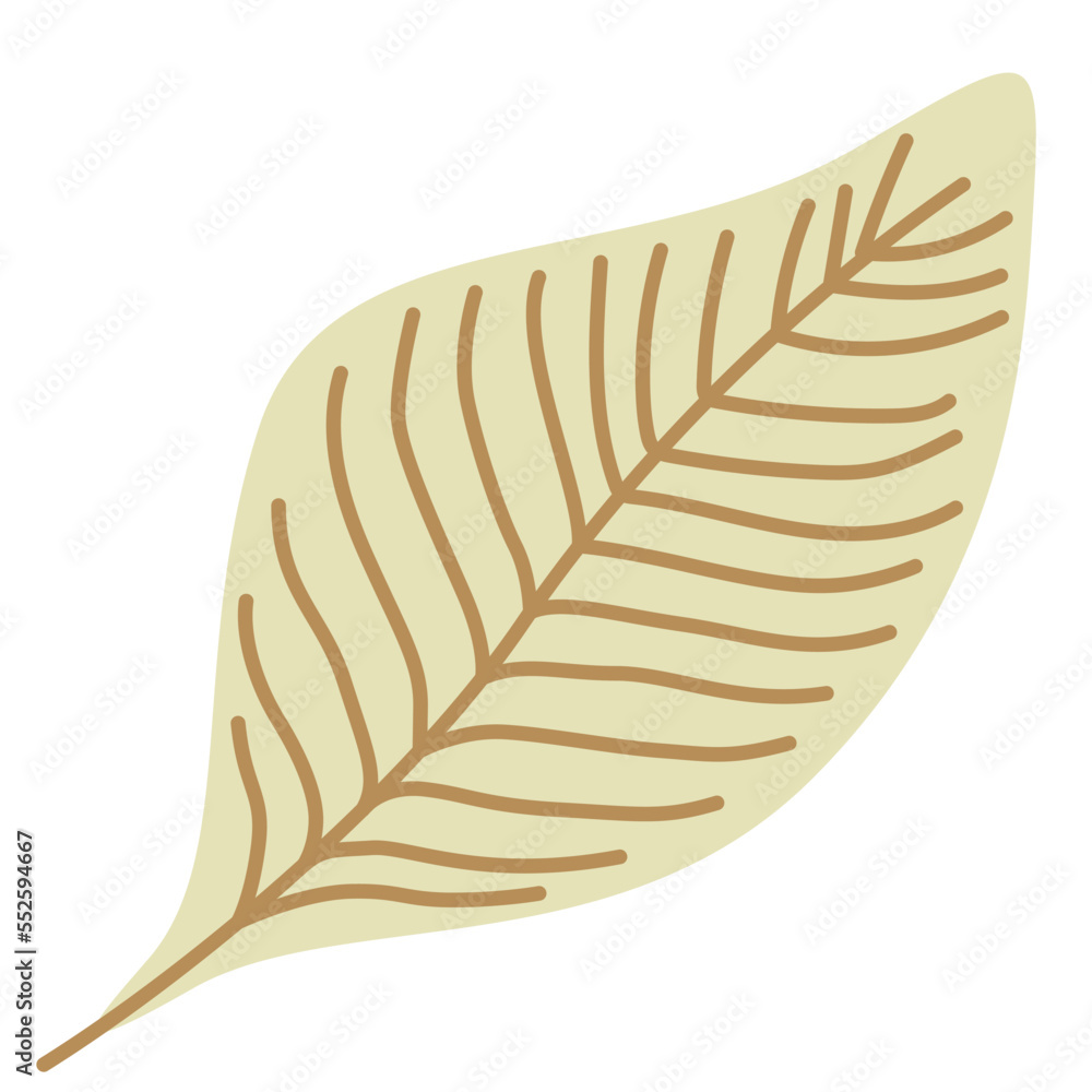 hand drawn shapes and floral design elements. Exotic jungle leaves. Abstract contemporary modern trendy illustrations element icon hand drawn shapes and floral design elements. Exotic jungle leaves. Abstract contemporary modern trendy illustrations element icon