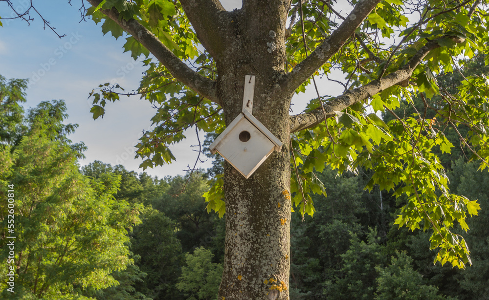Square wooden birdhouse on a tree trunk. Handmade box for bird between green leaves on a big tree. Nature park in the background of blue sky. The Mezhyhirya Residence in Kyiv, Ukraine