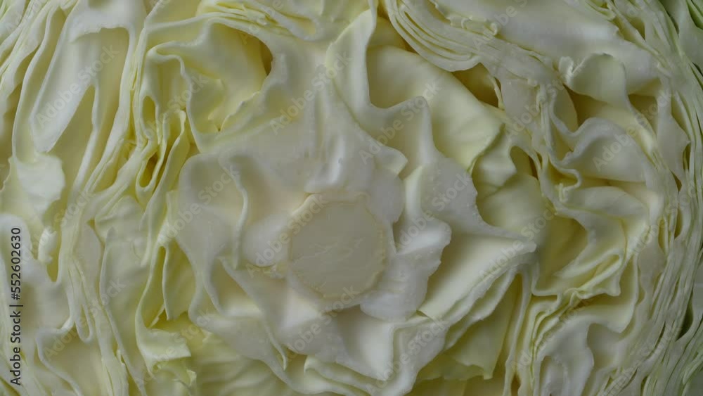Background of the white cabbage in the cut, rotate. Close up, top view. Texture raw half cabbage Background of the white cabbage in the cut, rotate. Close up, top view. Texture raw half cabbage