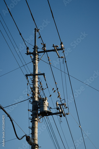 some birds rest on electric pole and wires | 電柱に架る電線で羽根を休める鳥