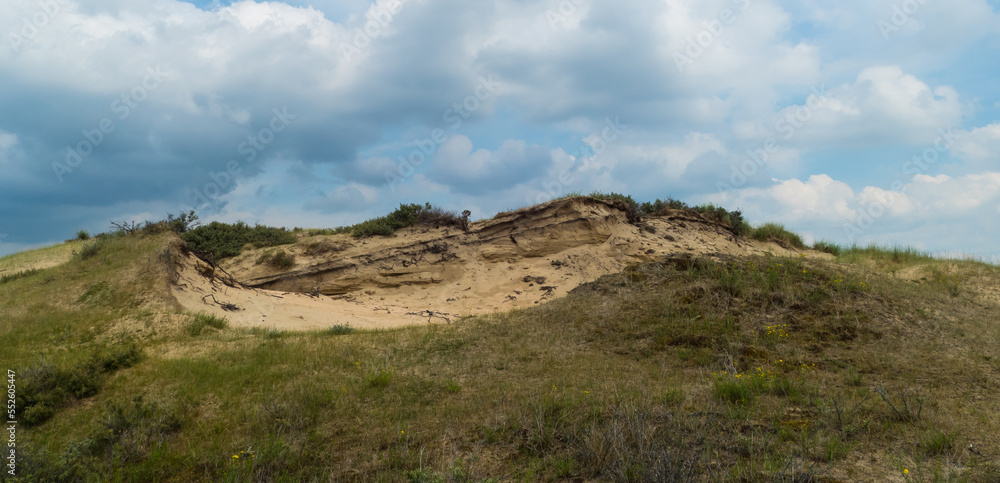 Dune Landscape Panorama Netherlands