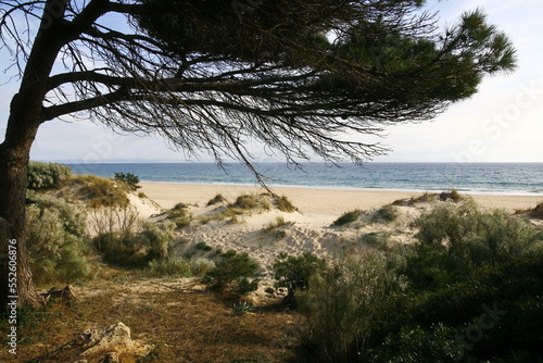 La plage naturelle et sauvage de Bolonia longue de 4 kilomètre, située dans le parc naturel El Estrecho, à une vingtaine de kilomètres au nord de Tarifa, dans la province de Cadix, en Espagne © Monique Pouzet