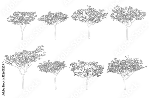 Minimal style cad tree line drawing, Side view, set of graphics trees elements outline symbol for architecture and landscape design drawing. Vector illustration in stroke fill in white. Tropical, stre