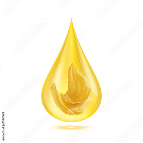 Edible Nest Swiftlet, Bird's nest in golden water drop. Isolated on white background. Premium grade health food supplement. From the saliva of a bird backed. 3D Realistic vector Eps10.
