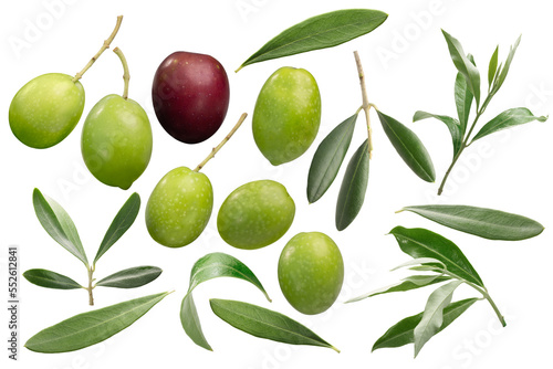 Foto Set of olive fruits and leaves Olea europaea isolated png