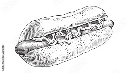 Hot dog sandwich hand drawn sketch food Restaurant business concept.Vector illustration.