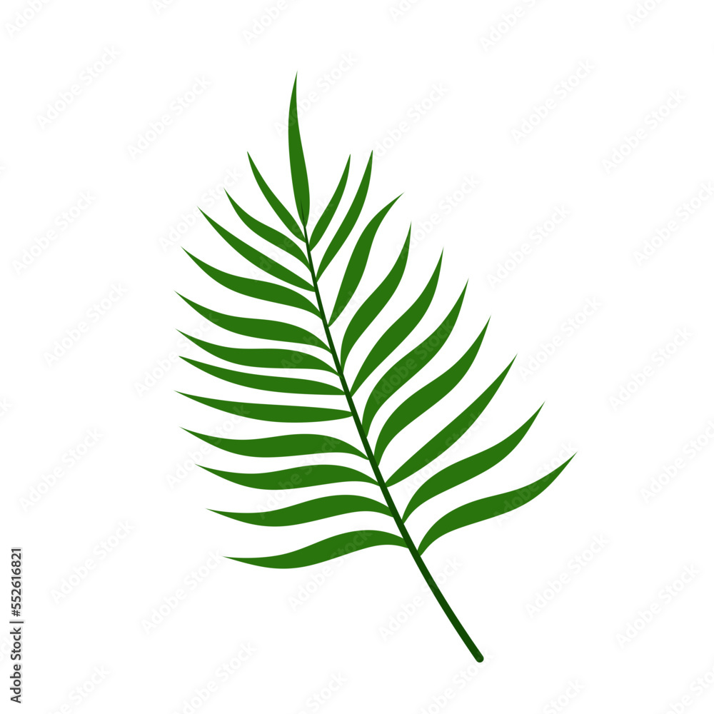 Tropical Leaf Illustration Tropical Leaf Illustration