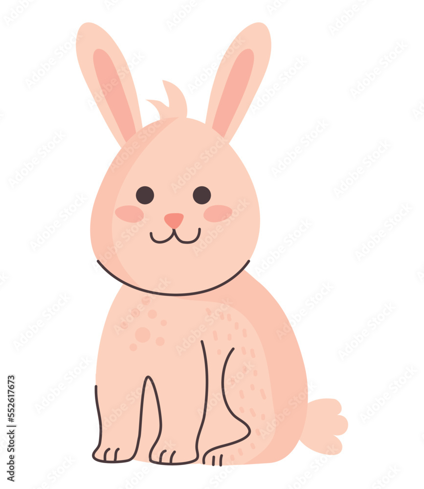 cute rabbit animal cute rabbit animal
