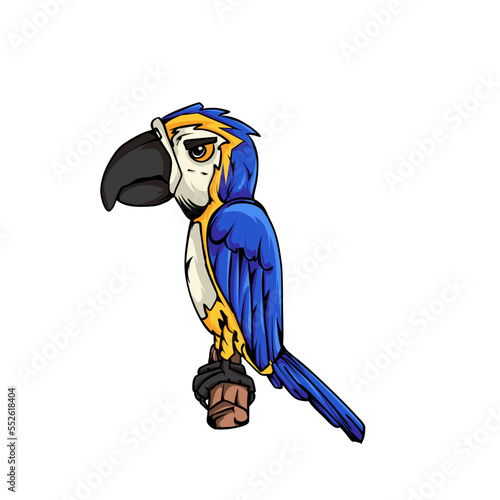vector illustration, cute cartoon, blue macaw bird,