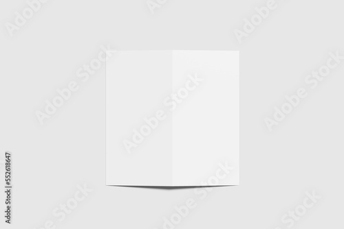 DL Bifold Brochure Blank Mockup