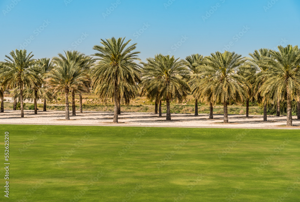 Gardens with palm trees inside the Sultan Qaboos Grand Mosque, Oman, Middle East