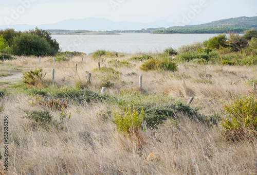 Lake landscape with mountains at sunrise. Lake of Leucate, Languedoc-Roussillon, France.
between the departments of Pyrénées-Orientales and Aude in Occitania. Regional natural park of Narbonnaise.