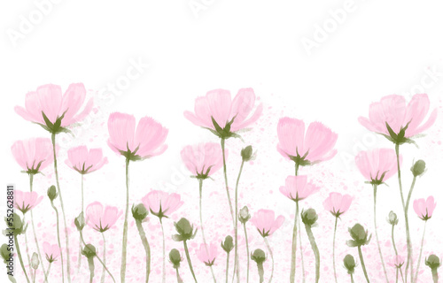Flores rosa sin fondo