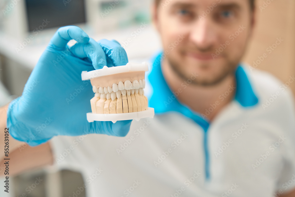 Professional dentist showing model of the oral cavity Stock Photo Adobe Stock