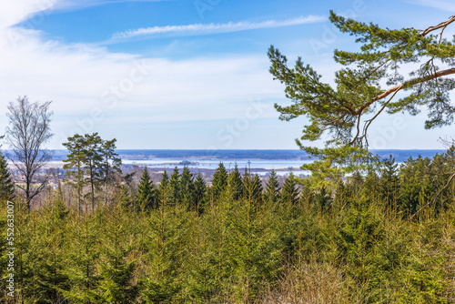 View towards a lake by a spruce forest © Lars Johansson