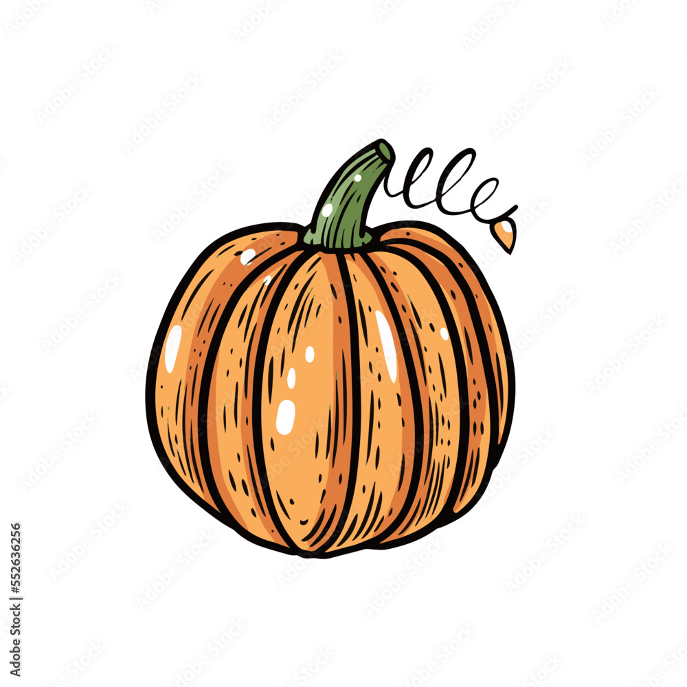 Hand drawn pumpkin sign vector art illustration. Hand drawn pumpkin sign vector art illustration.