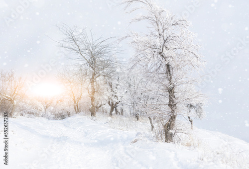 winter landscape with trees © scharfsinn86