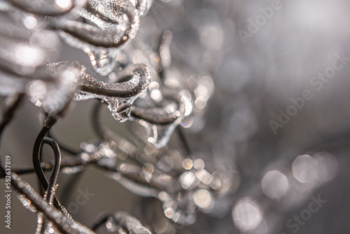 Frozen iron mesh fence, winter, ice, macro, december, january