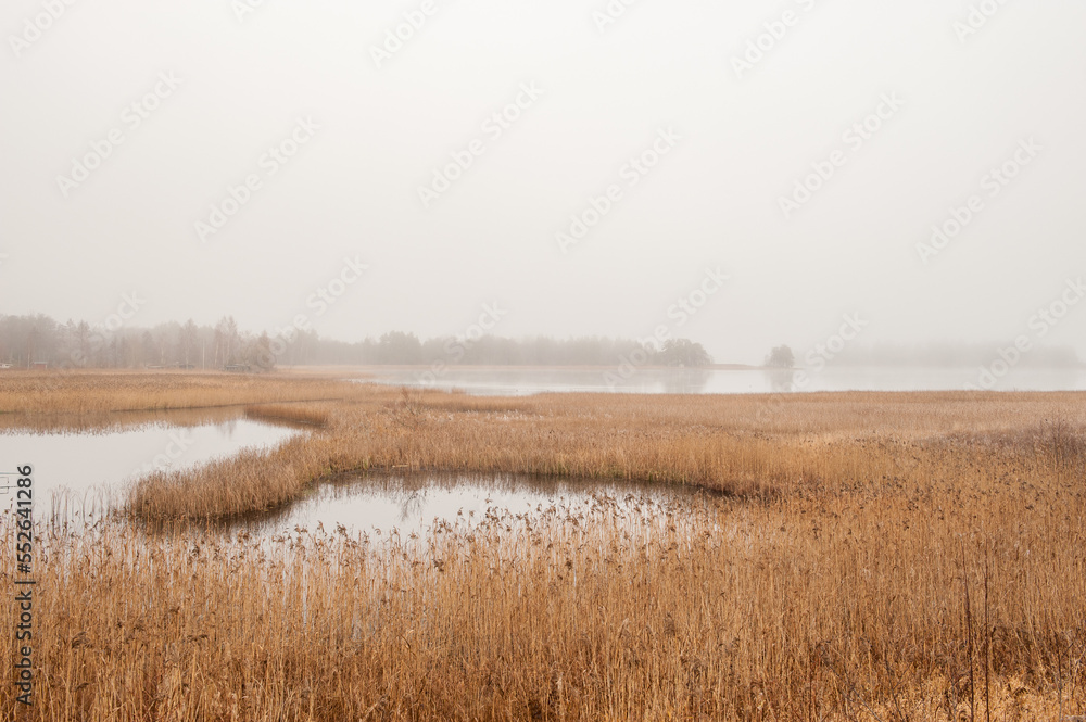 Foggy autumn morning in November at lake Sottern in county Närke, Sweden