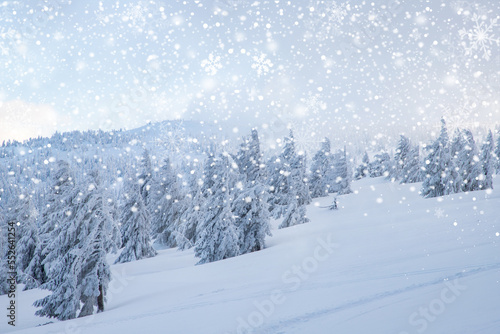 magical frozen winter landscape with snow covered fir trees