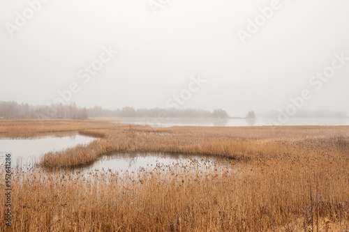 Foggy autumn morning in November at lake Sottern in county N  rke  Sweden