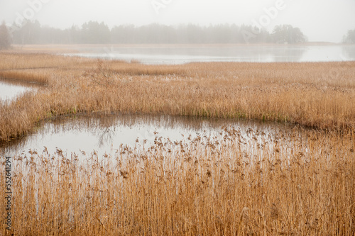 Foggy autumn morning in November at lake Sottern in county Närke, Sweden