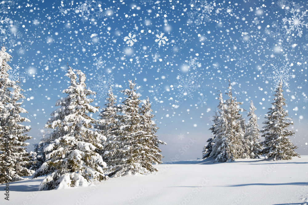 beautiful winter landscape with snowy fir trees