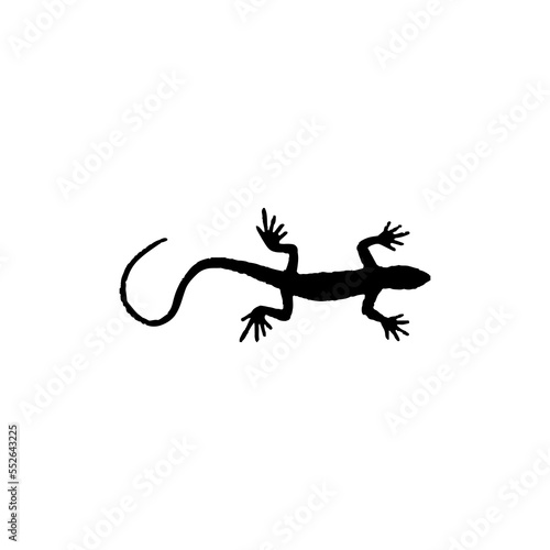Gecko icon. Simple style reptiles info poster background symbol. Gecko brand logo design element. Gecko t-shirt printing. vector for sticker.