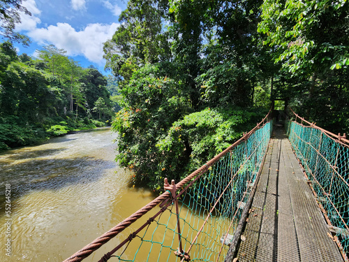 View of Danum river and suspension bridge in Danum valley rain forest Lahad Datu Sabah Borneo Malaysia photo