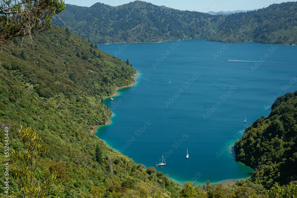 View from Queen Charlotte Track down to beautiful bay