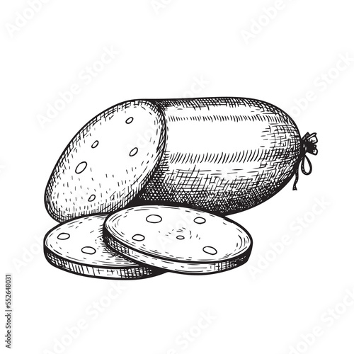Boiled sausage in cut. Whole sausage in vintage style. Hand drawn sketch style butchery product. Best for package and butcher products design. Vector illustration.