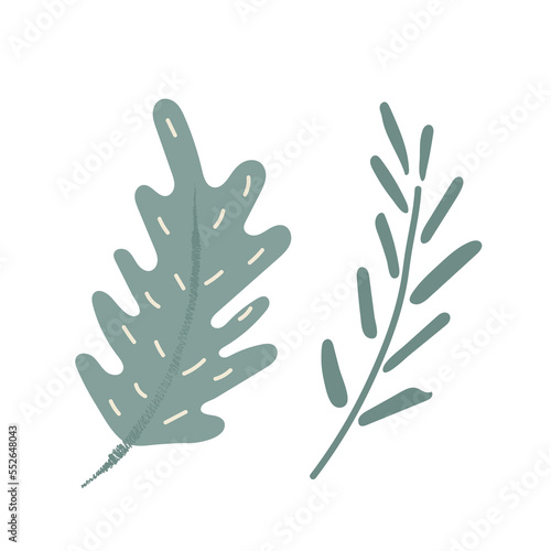 Blue winter twigs cartoon. Christmas botany elements isolated on white background. Vector illustration