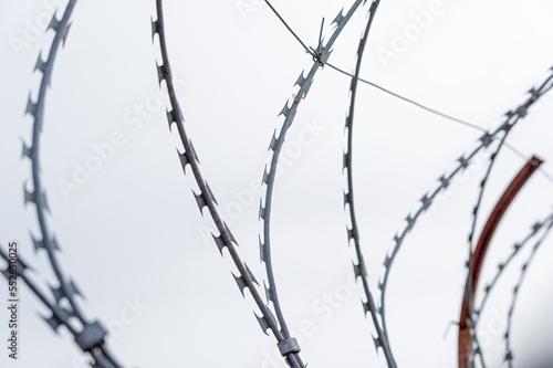 Barbed wire on white