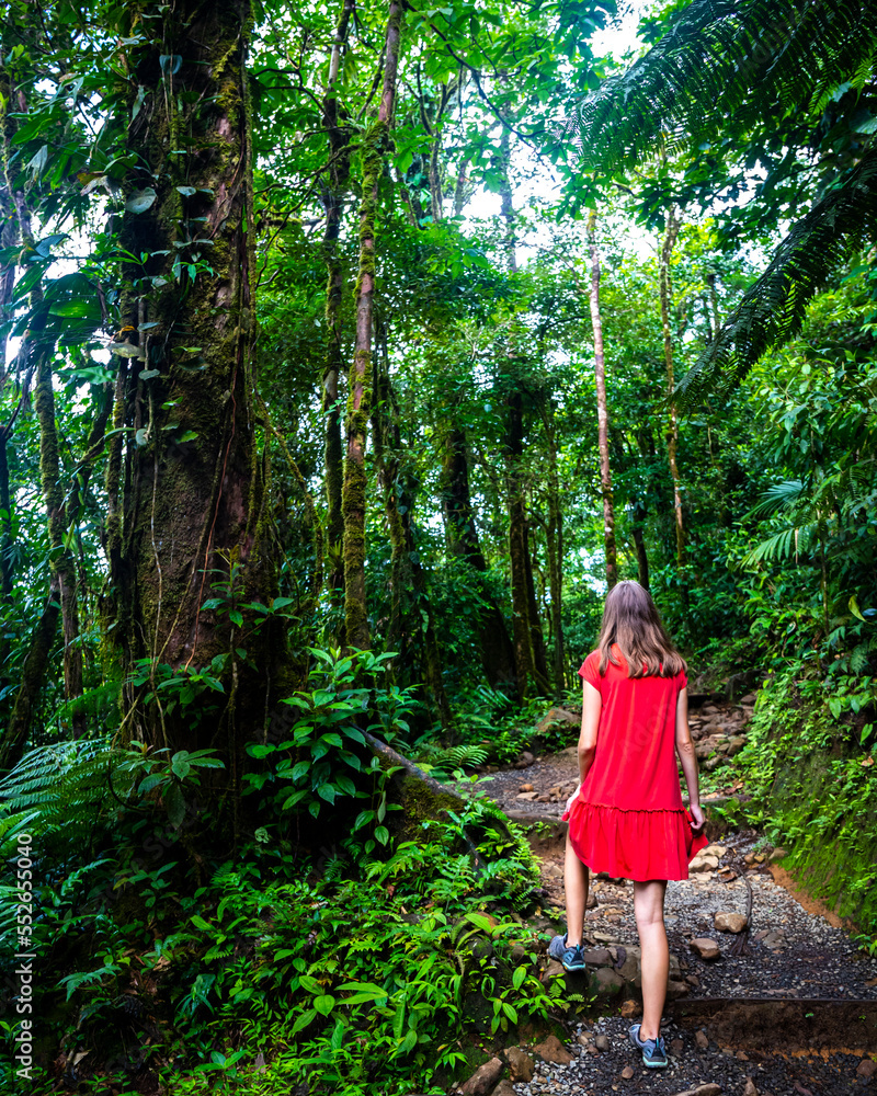 girl in red dress walks through dense rainforest in volcano tenorio national park; hiking in jungle in Costa Rica along rio celeste river girl in red dress walks through dense rainforest in volcano tenorio national park; hiking in jungle in Costa Rica along rio celeste river