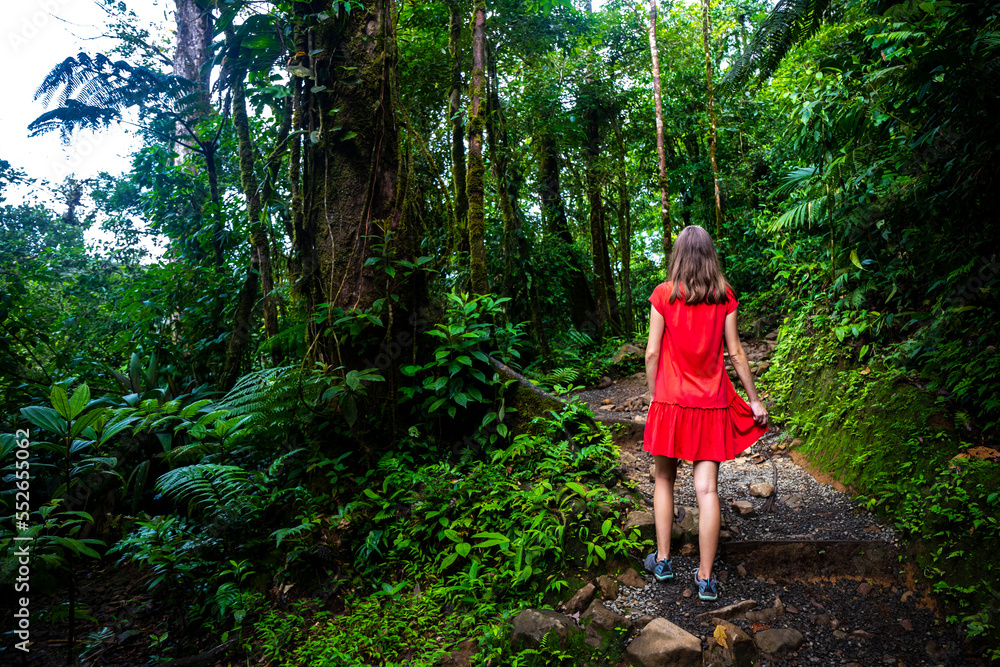 girl in red dress walks through dense rainforest in volcano tenorio national park; hiking in jungle in Costa Rica along rio celeste river girl in red dress walks through dense rainforest in volcano tenorio national park; hiking in jungle in Costa Rica along rio celeste river