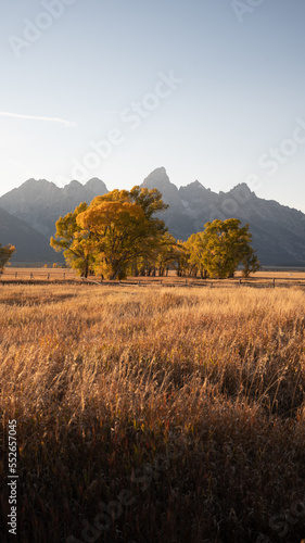 Fall Colors in the Tetons