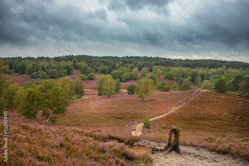 Fischbeker Heide bei Schlechtwetter