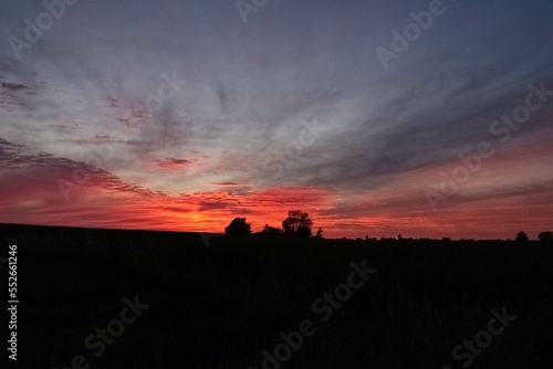 Wallpaper Mural Tramonto estivo sui campi Torontodigital.ca