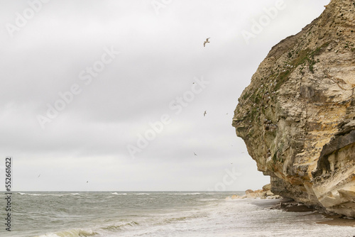 Scogliera di Bulbjerg, Danimarca photo