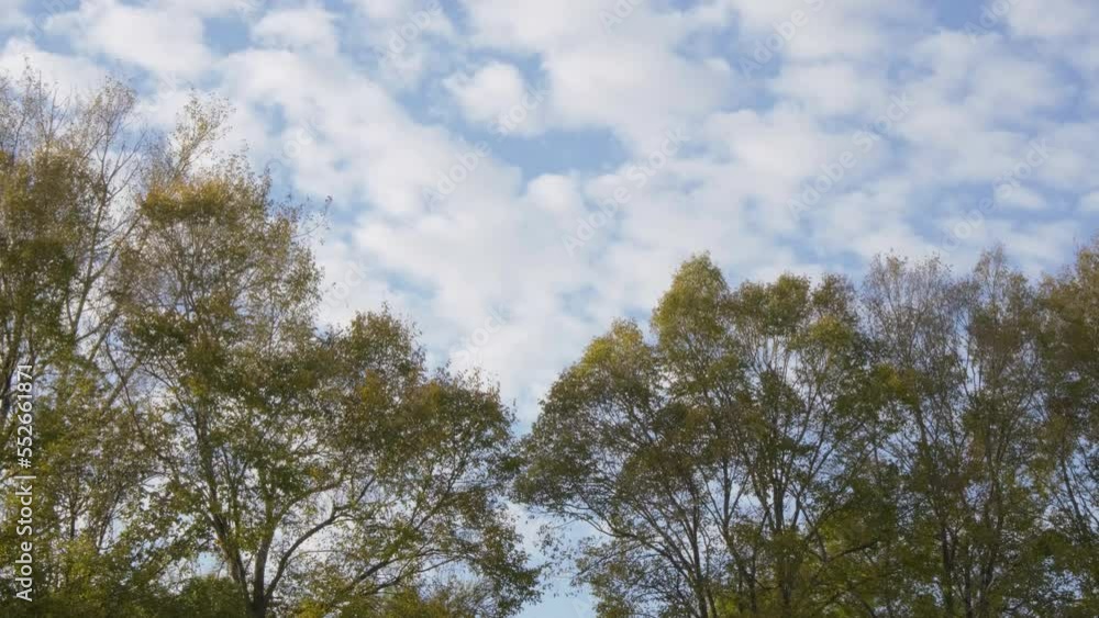 Timelapse sky. White beautiful clouds in the blue sky Timelapse sky. White beautiful clouds in the blue sky